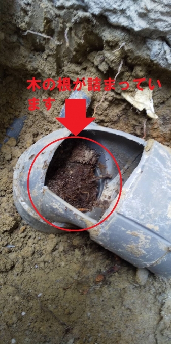 トイレ詰まりの原因は、汚水管に詰まった木の根！トイレ汚水管取替工事