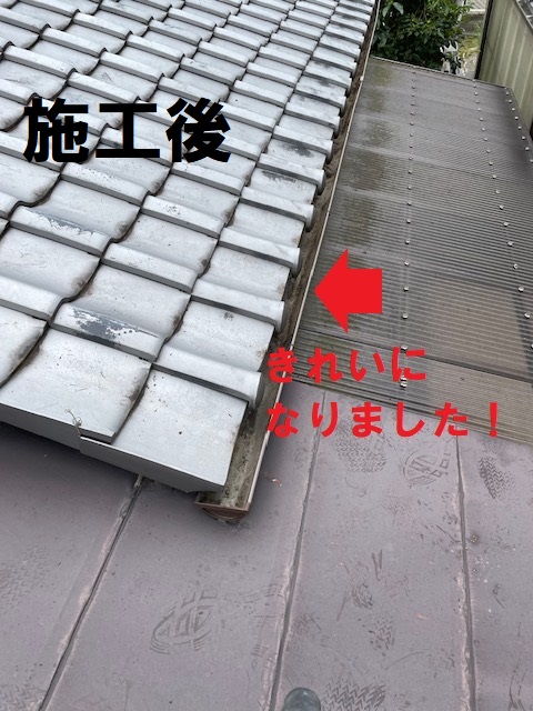 雨樋掃除