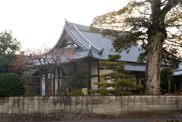 浄福寺
													